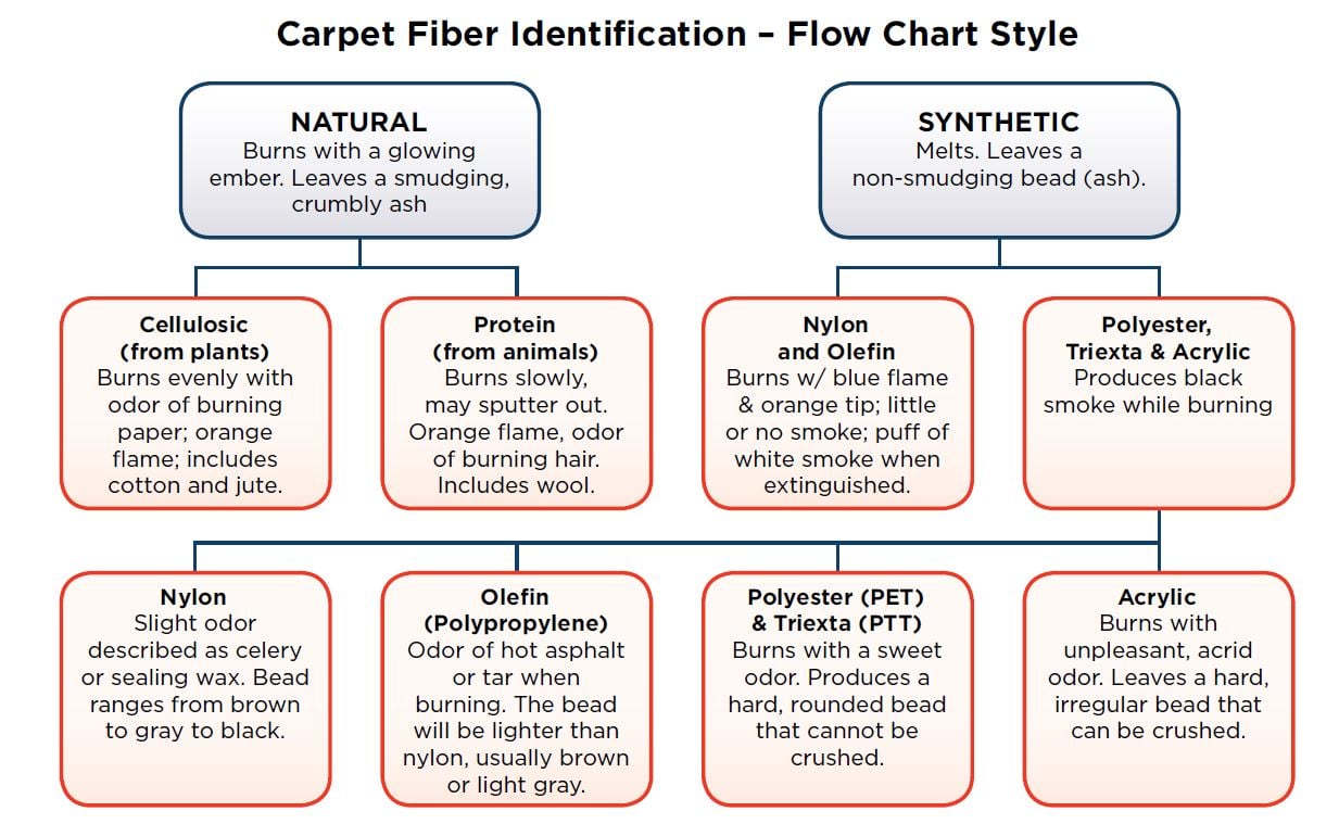 The Brave New World of Carpet Cleaning